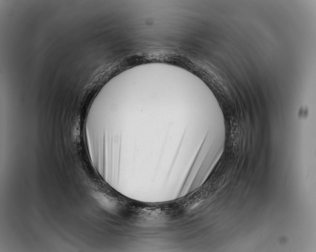 X0000099460502200805301537