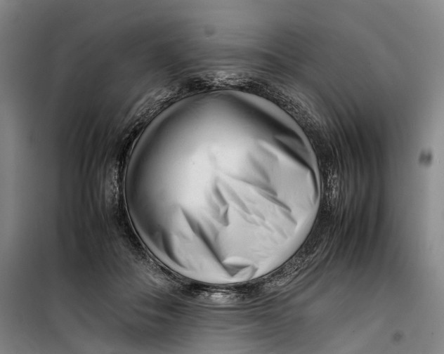 X0000099460506200805301537