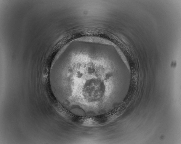 X0000099460507200805301537