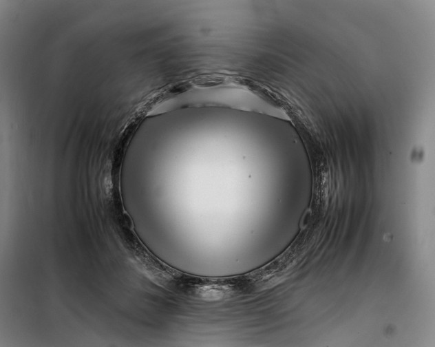 X0000099460508200805301537