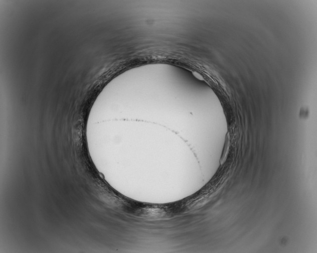 X0000099460509200805301537