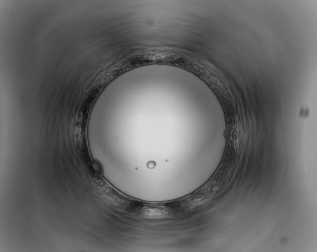 X0000099460510200805301537