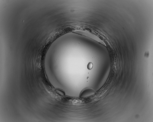 X0000099460512200805301537