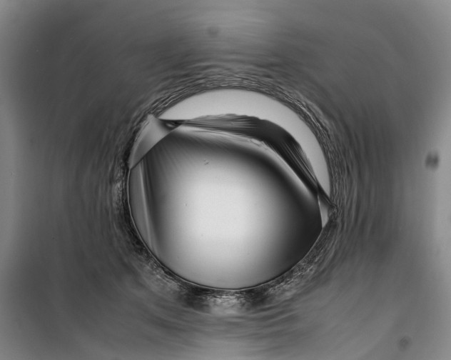 X0000099460513200805301537