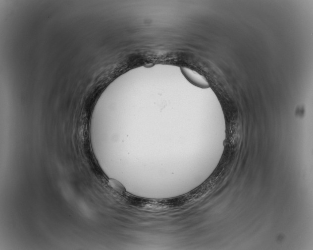 X0000099460515200805301537