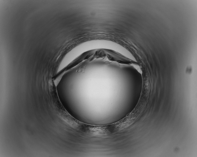 X0000099460516200805301537