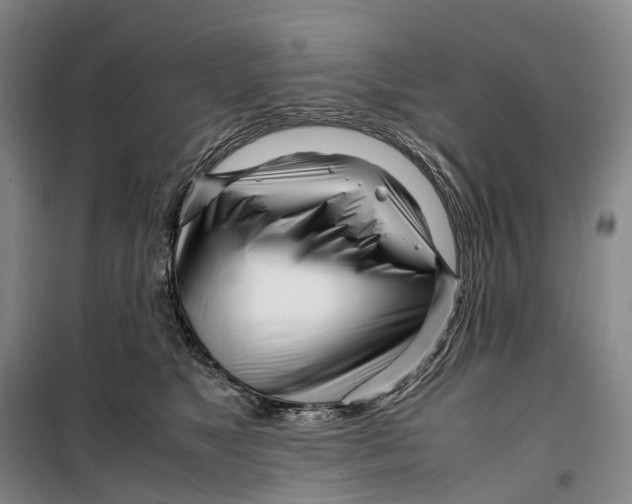 X0000099460517200805301537