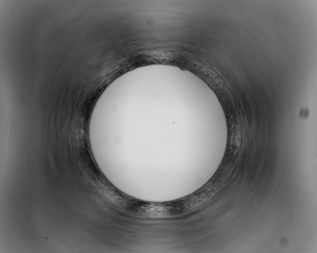 X0000099460518200805301537