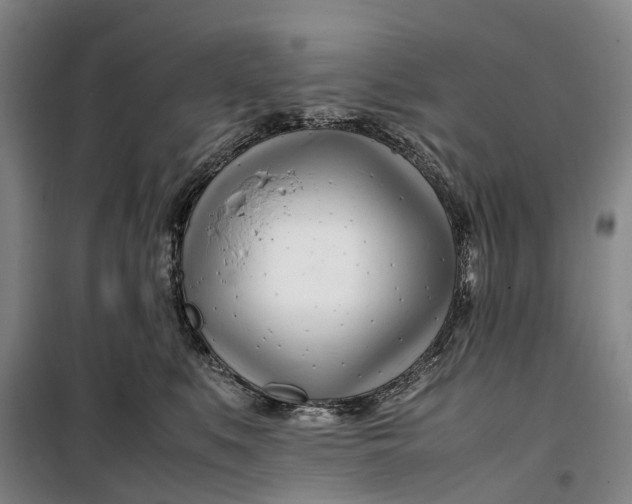 X0000099460519200805301537