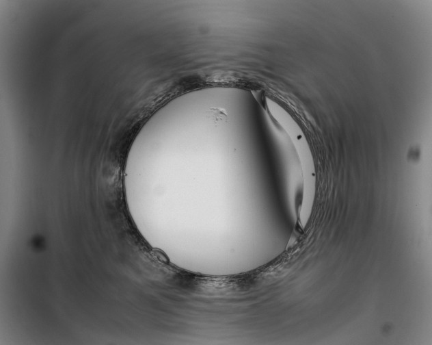 X0000099460521200805301537