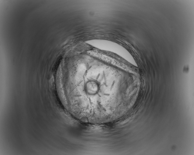 X0000099460523200805301537