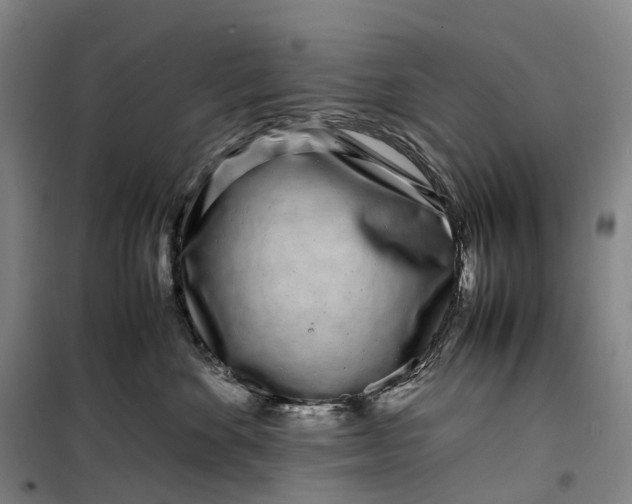 X0000099460524200805301537