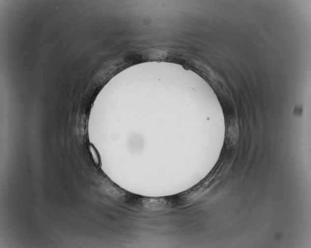 X0000099460525200805301537