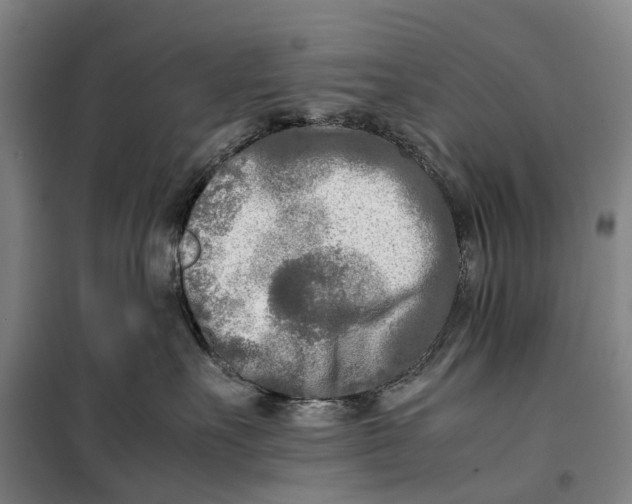 X0000099460527200805301537