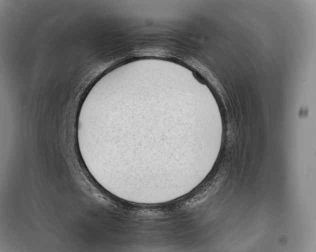 X0000099460529200805301536