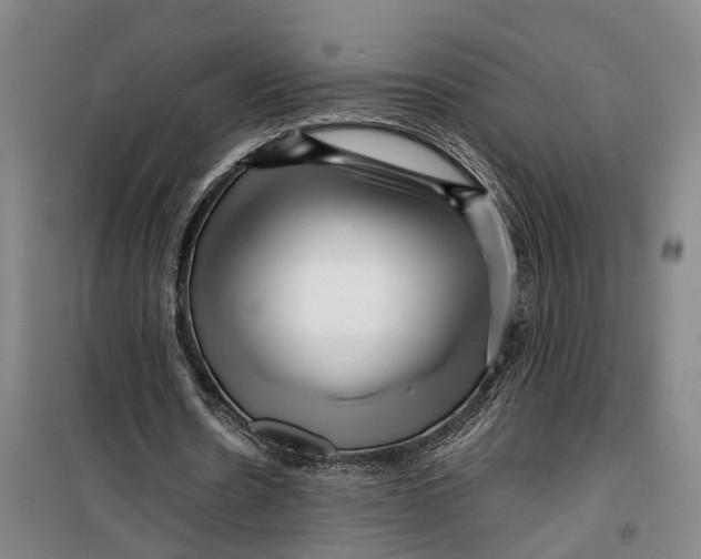 X0000099460530200805301536