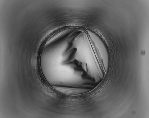 X0000099460531200805301536