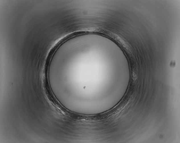 X0000099460532200805301536