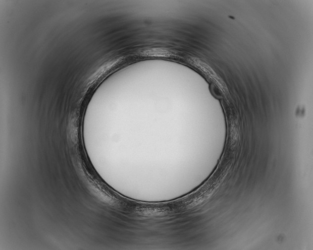 X0000099460533200805301536