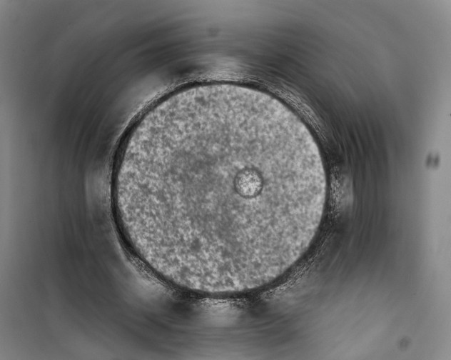 X0000099460534200805301536