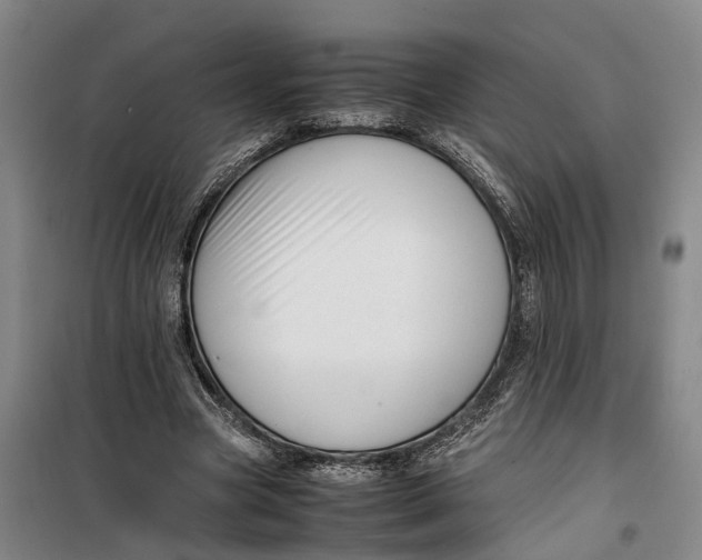 X0000099460537200805301536