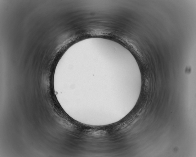 X0000099460539200805301536