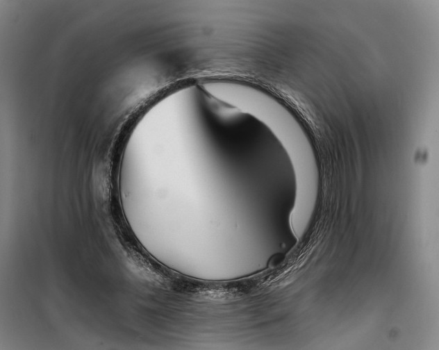 X0000099460540200805301536