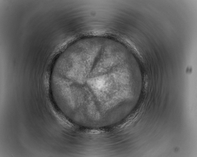 X0000099460542200805301536