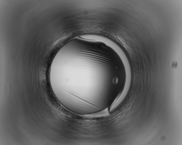 X0000099460543200805301536