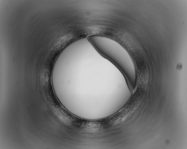 X0000099460546200805301536