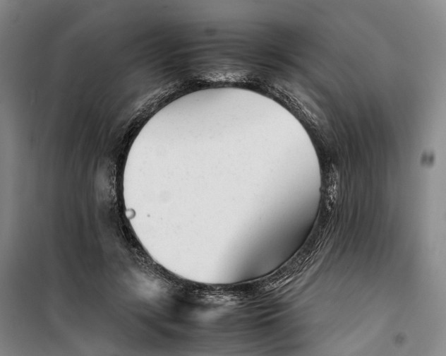 X0000099460547200805301536