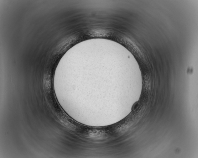 X0000099460549200805301536