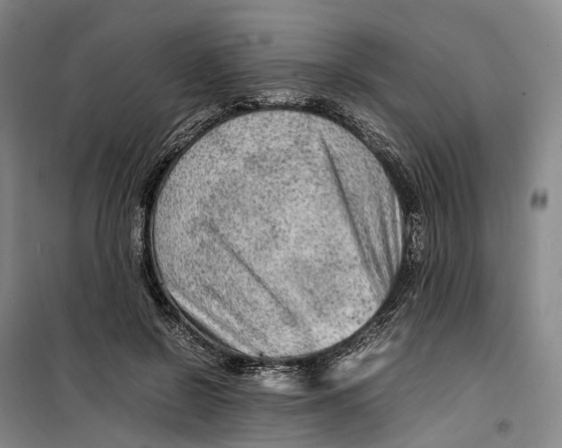 X0000099460550200805301536