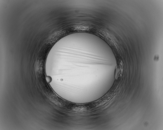 X0000099460551200805301536