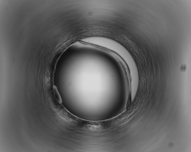 X0000099460552200805301536