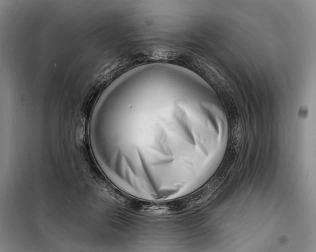 X0000099460554200805301536