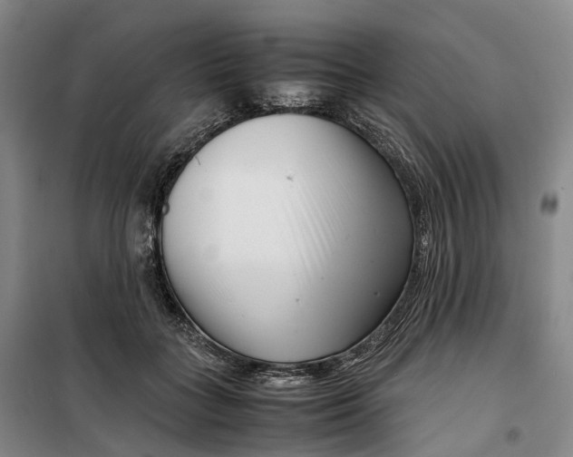 X0000099460555200805301536