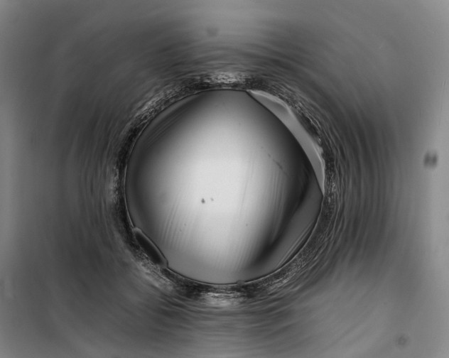 X0000099460556200805301536