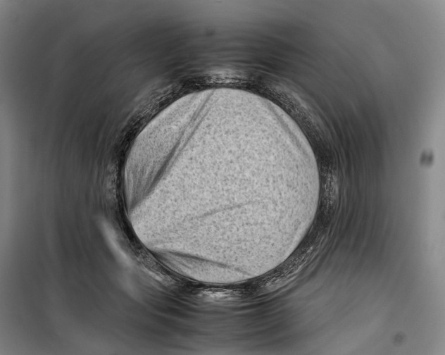 X0000099460557200805301536