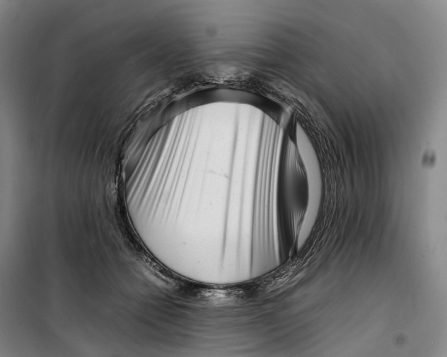 X0000099460558200805301537