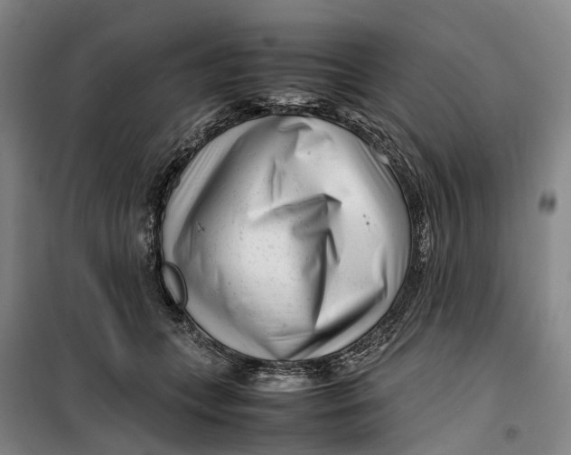 X0000099460559200805301537