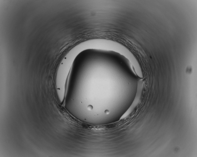 X0000099460560200805301537