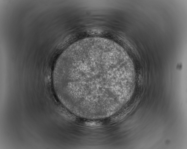 X0000099460561200805301537