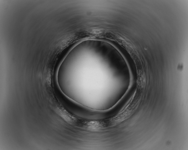 X0000099460562200805301537