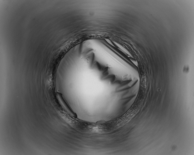 X0000099460564200805301537