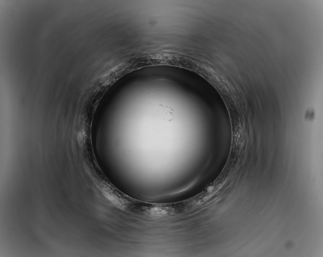 X0000099460566200805301537