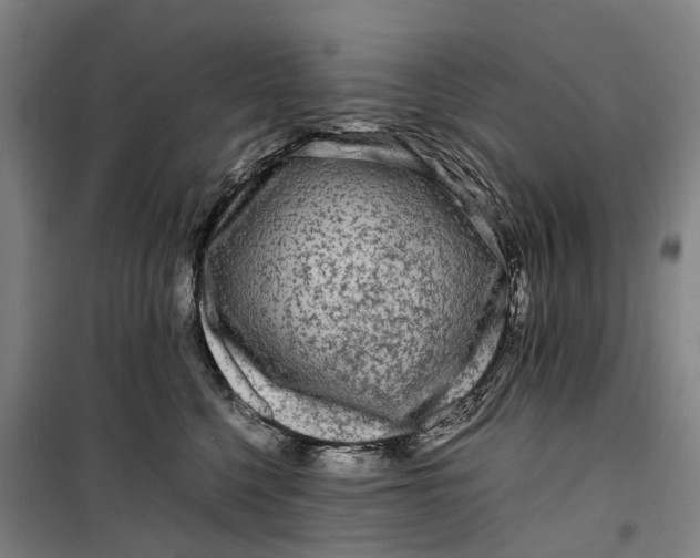 X0000099460568200805301537