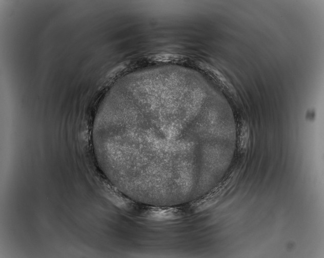 X0000099460569200805301537