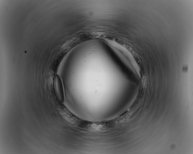 X0000099460570200805301537