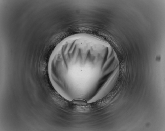 X0000099460571200805301537